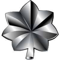 Файл:TGMC Rank LtCol.png